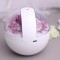 چراغ خواب و بخور سرد